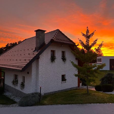 Holiday Home Dobrotin Vojnik Zewnętrze zdjęcie
