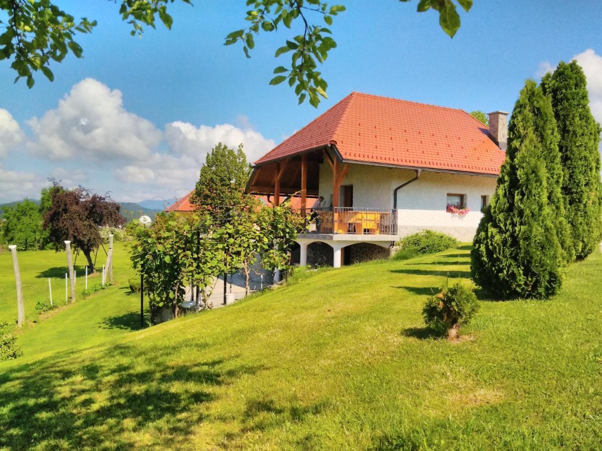 Holiday Home Dobrotin Vojnik Zewnętrze zdjęcie