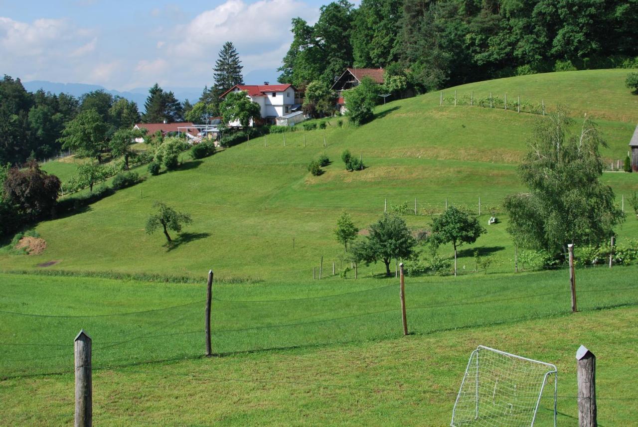 Holiday Home Dobrotin Vojnik Zewnętrze zdjęcie