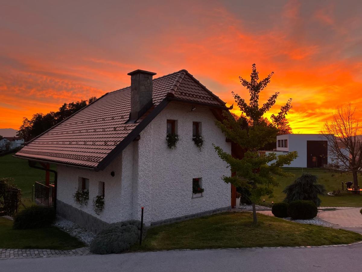 Holiday Home Dobrotin Vojnik Zewnętrze zdjęcie