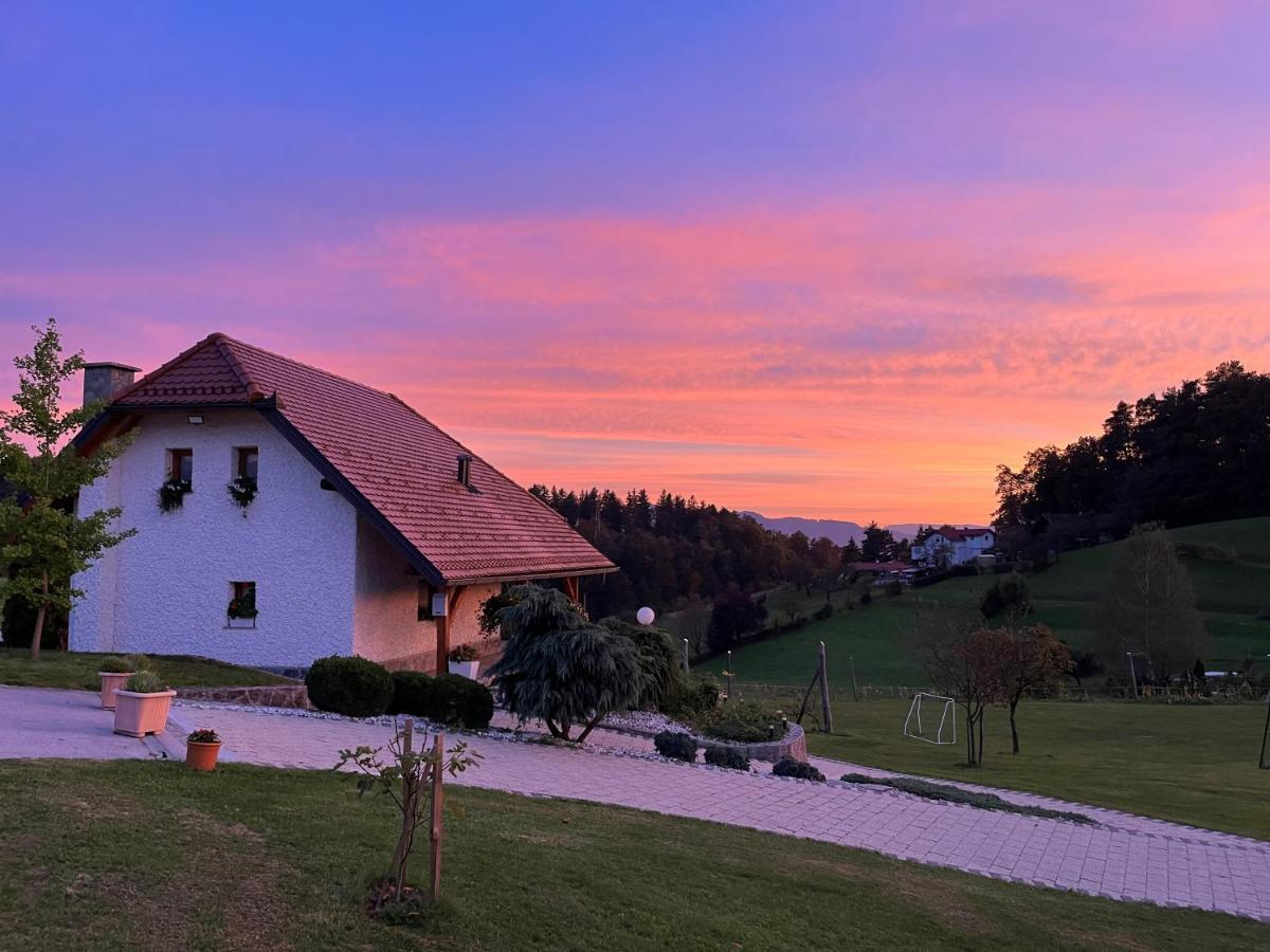Holiday Home Dobrotin Vojnik Zewnętrze zdjęcie