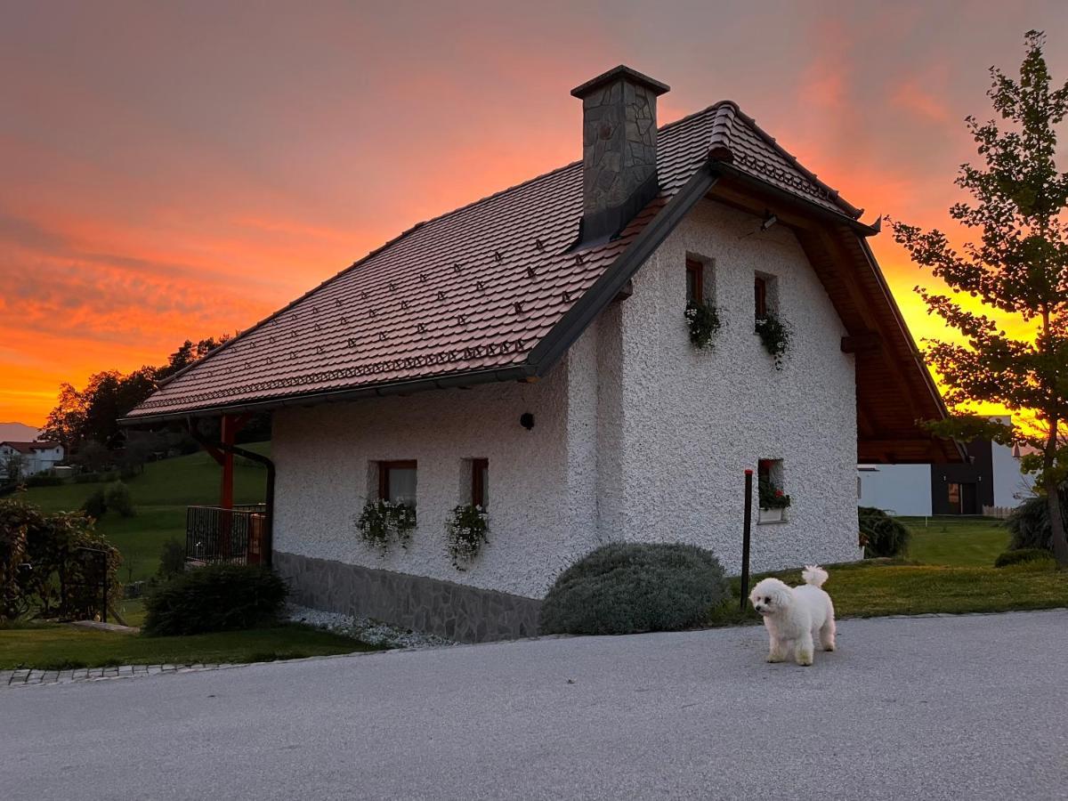 Holiday Home Dobrotin Vojnik Zewnętrze zdjęcie