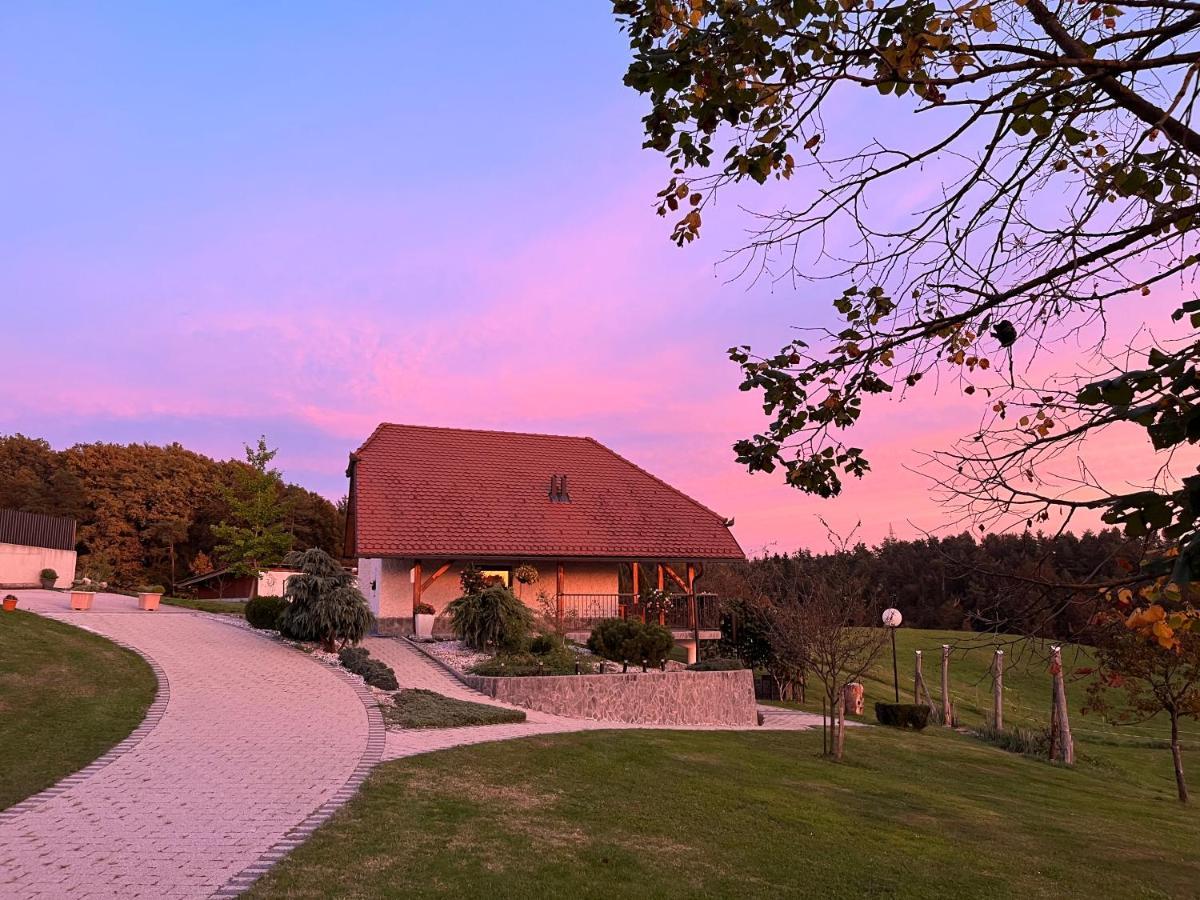 Holiday Home Dobrotin Vojnik Zewnętrze zdjęcie