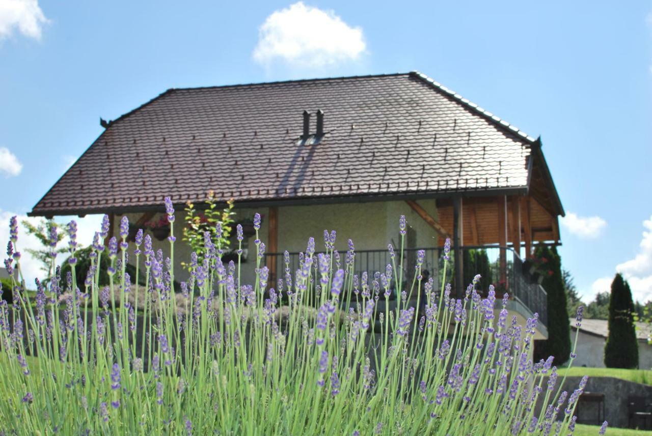Holiday Home Dobrotin Vojnik Zewnętrze zdjęcie