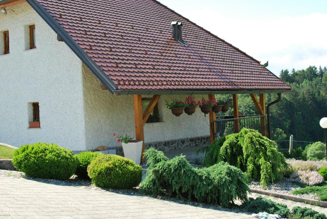 Holiday Home Dobrotin Vojnik Zewnętrze zdjęcie
