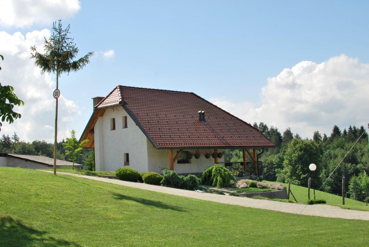 Holiday Home Dobrotin Vojnik Zewnętrze zdjęcie