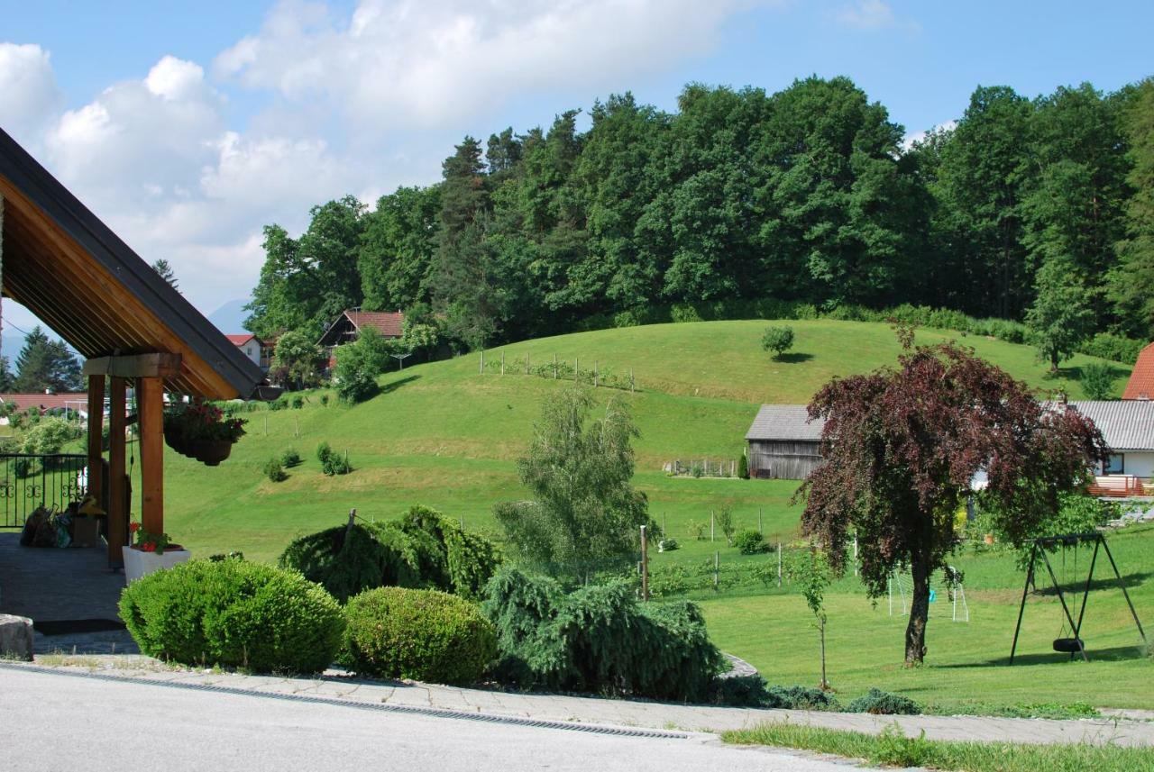 Holiday Home Dobrotin Vojnik Zewnętrze zdjęcie