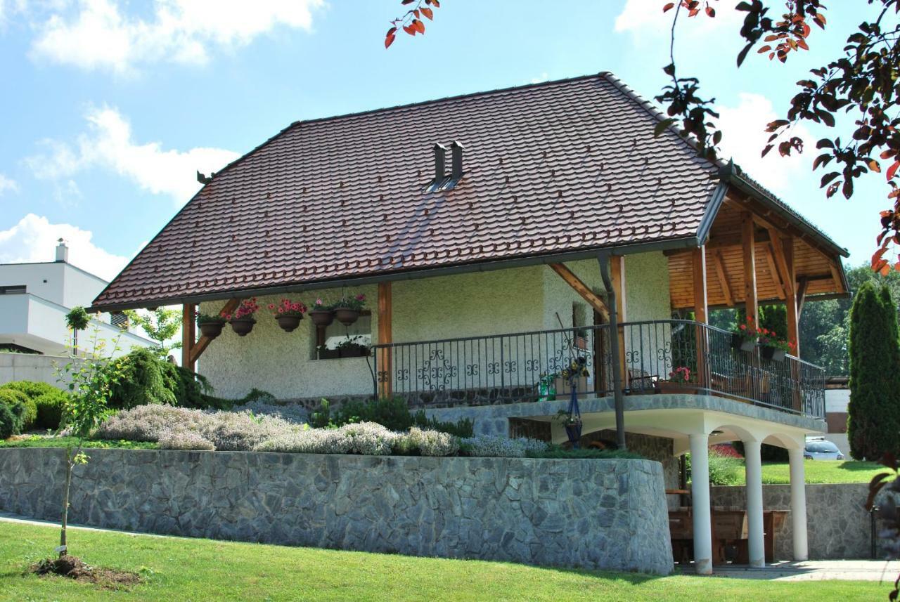 Holiday Home Dobrotin Vojnik Zewnętrze zdjęcie
