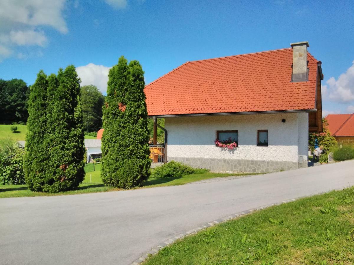 Holiday Home Dobrotin Vojnik Zewnętrze zdjęcie