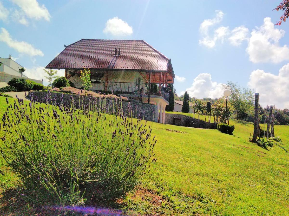 Holiday Home Dobrotin Vojnik Zewnętrze zdjęcie
