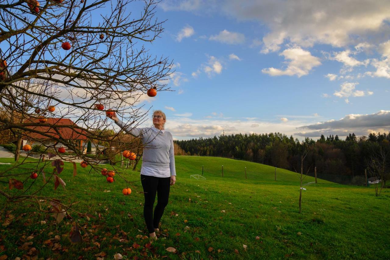 Holiday Home Dobrotin Vojnik Zewnętrze zdjęcie