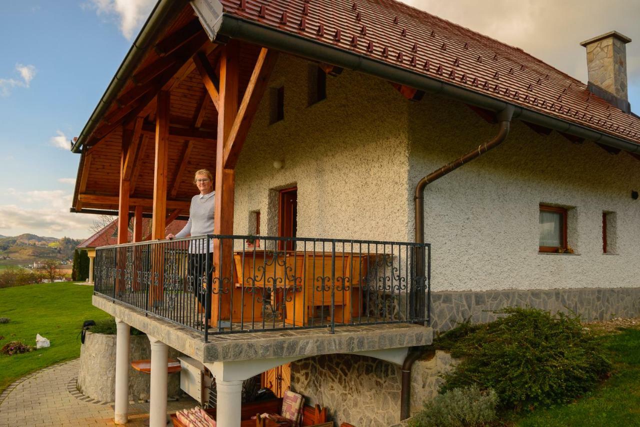 Holiday Home Dobrotin Vojnik Zewnętrze zdjęcie